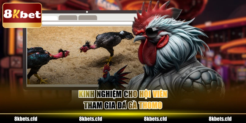 Kinh nghiệm cho hội viên tham gia đá gà thomo